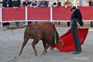 24 10 19 FOURQUES CHICOT (954)