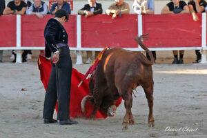 24 10 19 FOURQUES CHICOT (957)