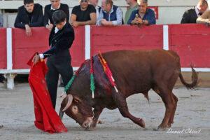 24 10 19 FOURQUES CHICOT (966)