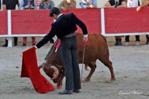 24 10 19 FOURQUES CHICOT (979)