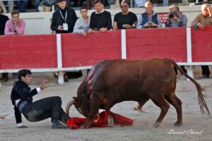 24 10 19 FOURQUES CHICOT (982)