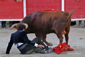 24 10 19 FOURQUES CHICOT (987)