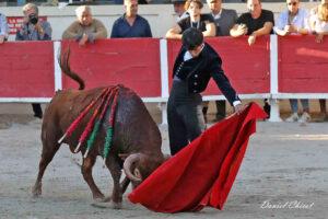 24 10 19 FOURQUES CHICOT (988)