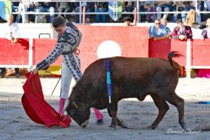 24 11 01 FOURQUES CHICOT (107)