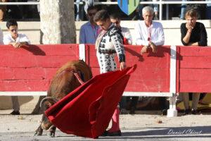 24 11 01 FOURQUES CHICOT (130)