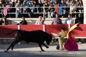 24 11 01 FOURQUES CHICOT (163)