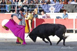 24 11 01 FOURQUES CHICOT (182)