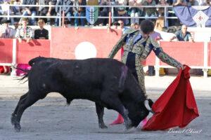 24 11 01 FOURQUES CHICOT (229)