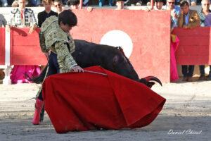 24 11 01 FOURQUES CHICOT (234)