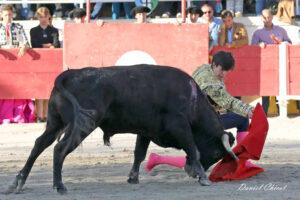 24 11 01 FOURQUES CHICOT (237)