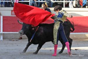 24 11 01 FOURQUES CHICOT (249)