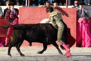24 11 01 FOURQUES CHICOT (254)