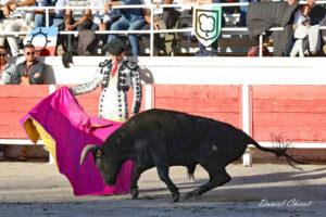 24 11 01 FOURQUES CHICOT (287)