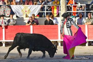 24 11 01 FOURQUES CHICOT (289)