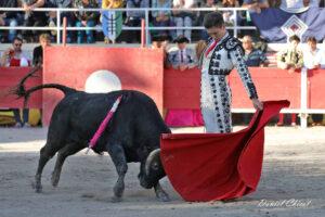 24 11 01 FOURQUES CHICOT (333)
