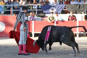 24 11 01 FOURQUES CHICOT (334)