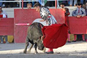 24 11 01 FOURQUES CHICOT (365)
