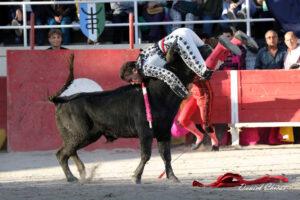 24 11 01 FOURQUES CHICOT (368)
