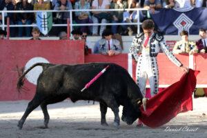 24 11 01 FOURQUES CHICOT (381)
