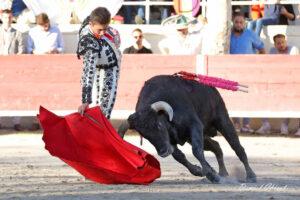 24 11 01 FOURQUES CHICOT (387)
