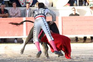 24 11 01 FOURQUES CHICOT (406)