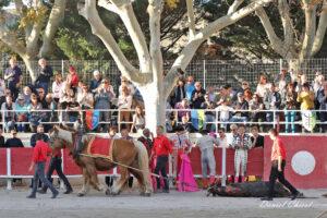 24 11 01 FOURQUES CHICOT (421)