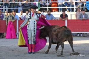 24 11 01 FOURQUES CHICOT (464)