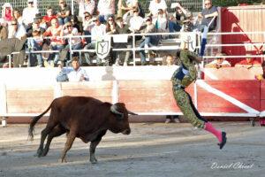 24 11 01 FOURQUES CHICOT (469)