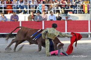 24 11 01 FOURQUES CHICOT (487)