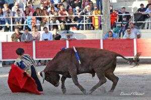 24 11 01 FOURQUES CHICOT (488)