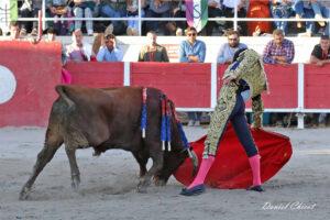 24 11 01 FOURQUES CHICOT (500)