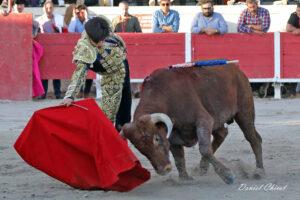 24 11 01 FOURQUES CHICOT (501)