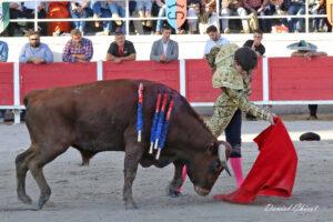 24 11 01 FOURQUES CHICOT (502)