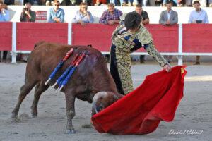 24 11 01 FOURQUES CHICOT (509)