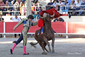 24 11 01 FOURQUES CHICOT (528)
