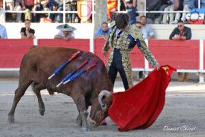 24 11 01 FOURQUES CHICOT (530)