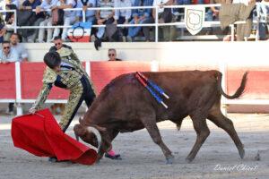 24 11 01 FOURQUES CHICOT (537)