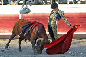 24 11 01 FOURQUES CHICOT (541)