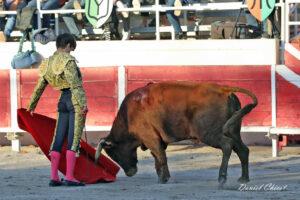 24 11 01 FOURQUES CHICOT (542)