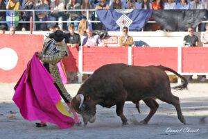 24 11 01 FOURQUES CHICOT (71)