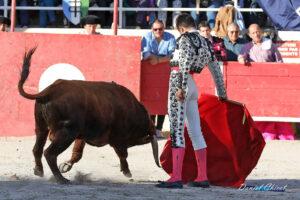 24 11 01 FOURQUES CHICOT (98)