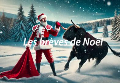 Les brèves de Noel