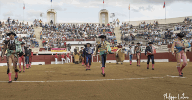 Vic, Saltillo: vox populi, vox dei?