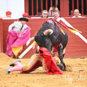 DSC_4357 (1)