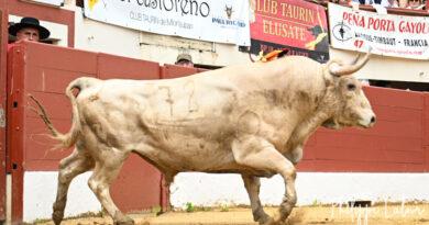 Vic, la concours en galerie photos