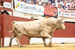 prieto