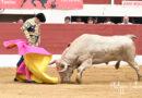 Vic, concours: Prieto de la Cal et Garrido se distinguent.