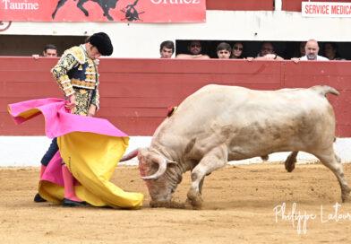 Vic, concours: Prieto de la Cal et Garrido se distinguent.
