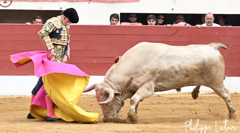 Vic, concours: Prieto de la Cal et Garrido se distinguent.