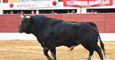 Vic: De Castilla et le troisième Dolores Aguirre